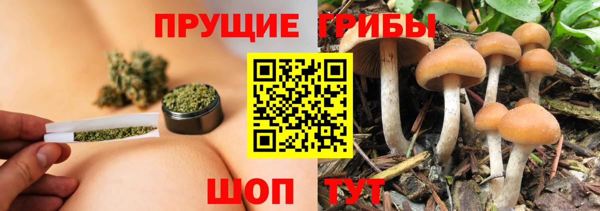 Чусовой  Псилоцибиновые грибы Psilocybe  где найти наркотики  Вход с VPN  Псилоцибиновые грибы MAGIC MUSHROOMS 